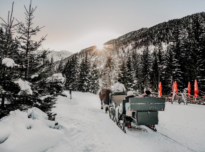 Schlittenfahrt durch die Gasteiner Winterwelt