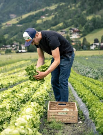 Bio Bauer im Gasteinertal bei der Salaternte