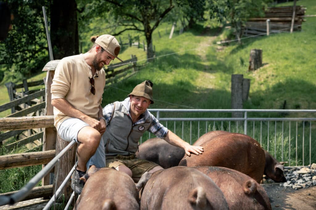 Lukas und Sepp Metzgermeister im Pongau bei den Schweinen